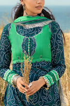 3 Piece Printed Lawn Suit and Dyed Trouser